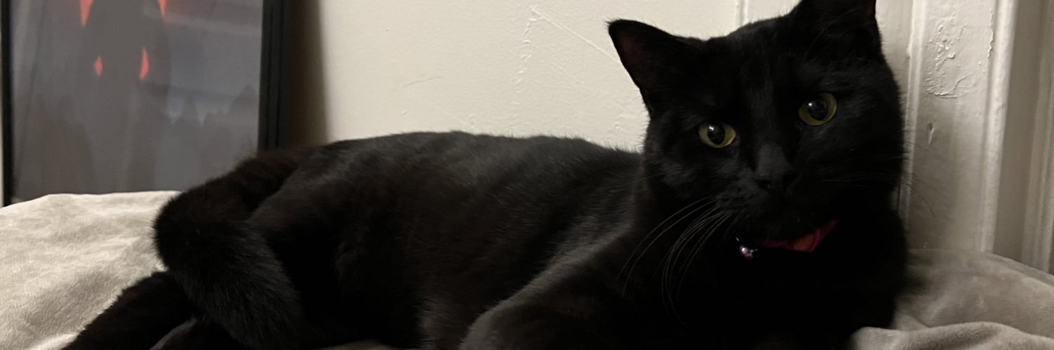 david_turnup's profile banner image