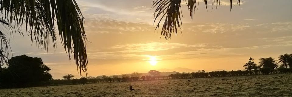 javier_matus's profile banner image