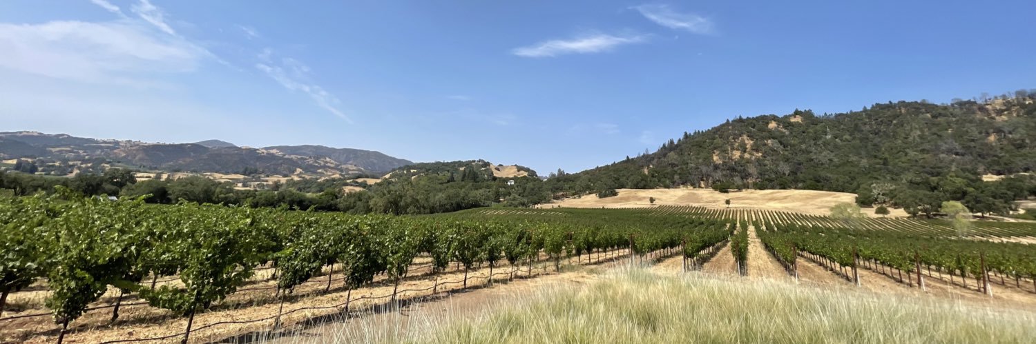 Christian A. Meissner banner