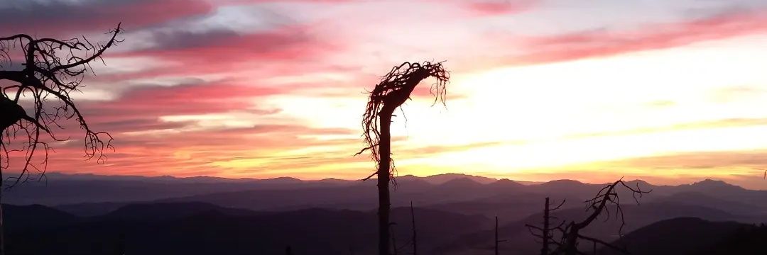 UrizarJesus's profile banner image