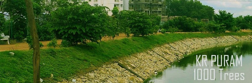 Save Green 🇮🇳 banner