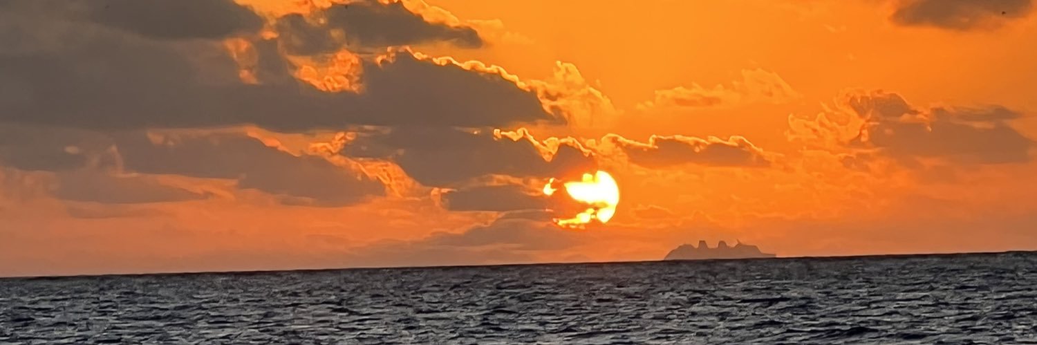 caviking's profile banner image