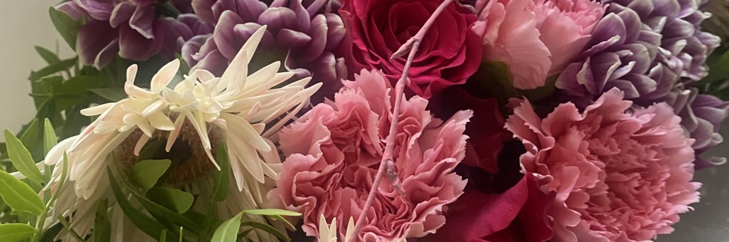 bronteplaister's profile banner image