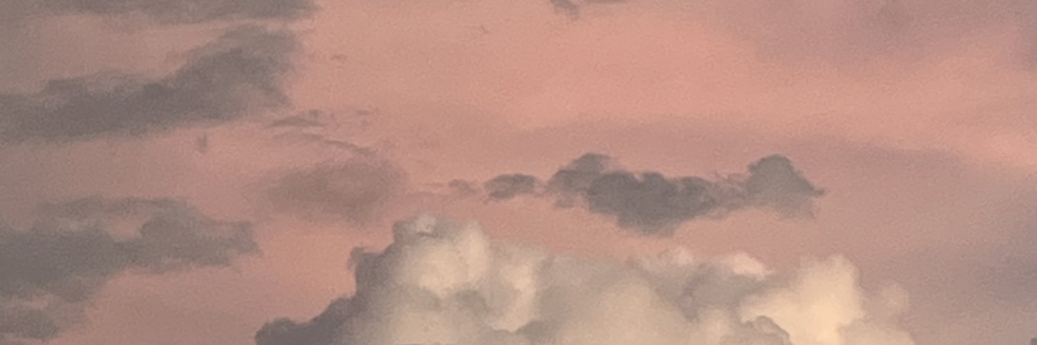 zachi banner
