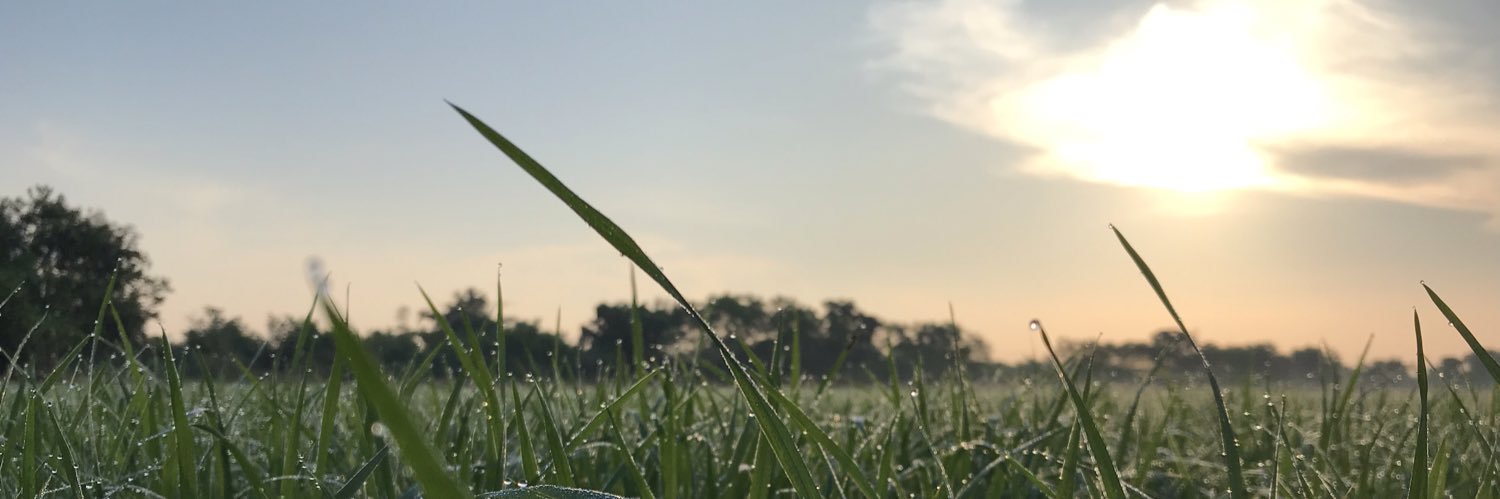 pamplt's profile banner image