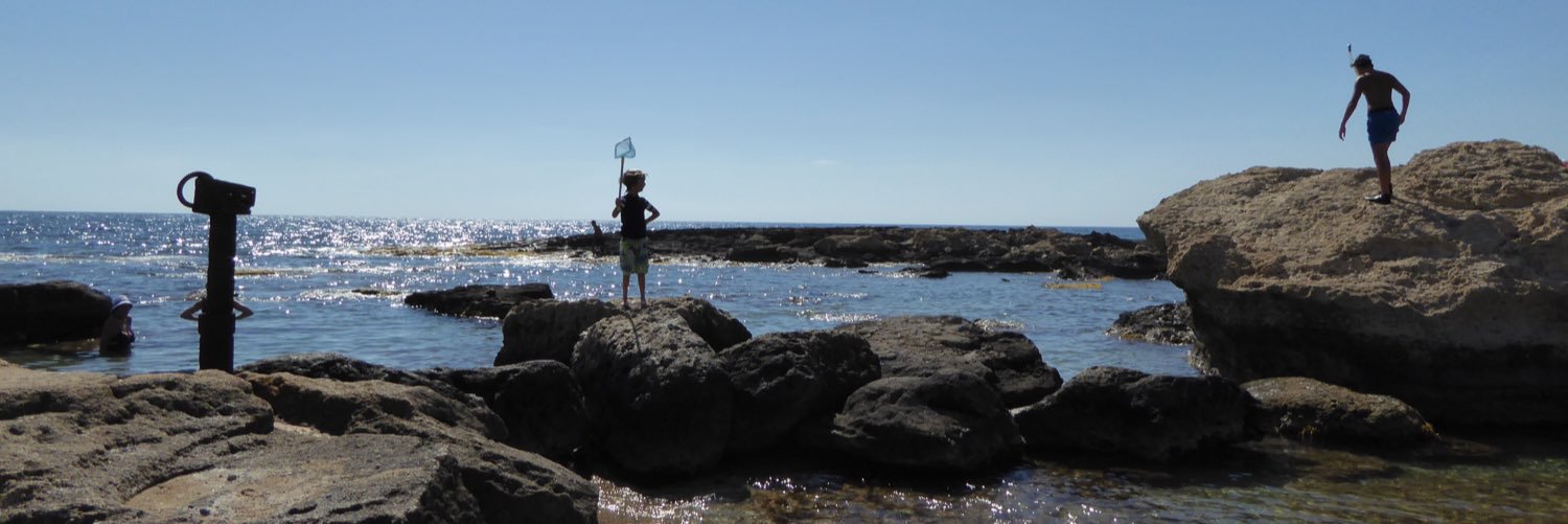 Celia MAPP, PGCE, Level 2 coach banner