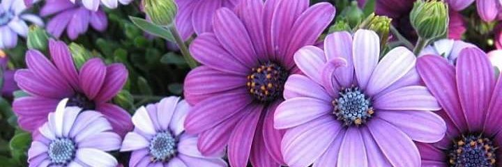 nn581232's profile banner image