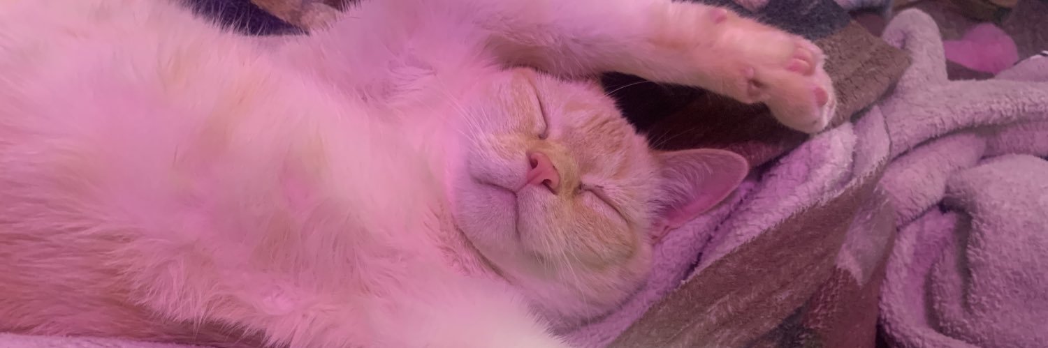 nimbusclouts's profile banner image