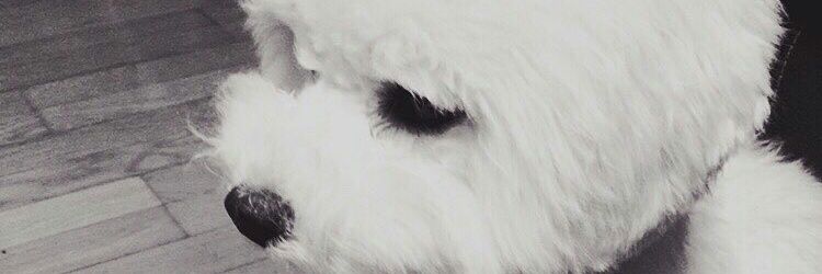 bora_130's profile banner image