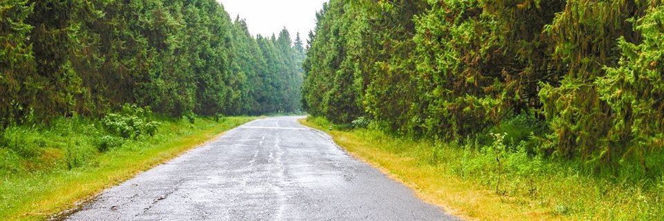 ewamboye's profile banner image