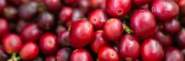 EScoffee Profile Banner