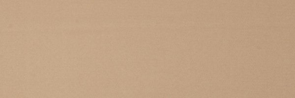 ___carmeenn Profile Banner