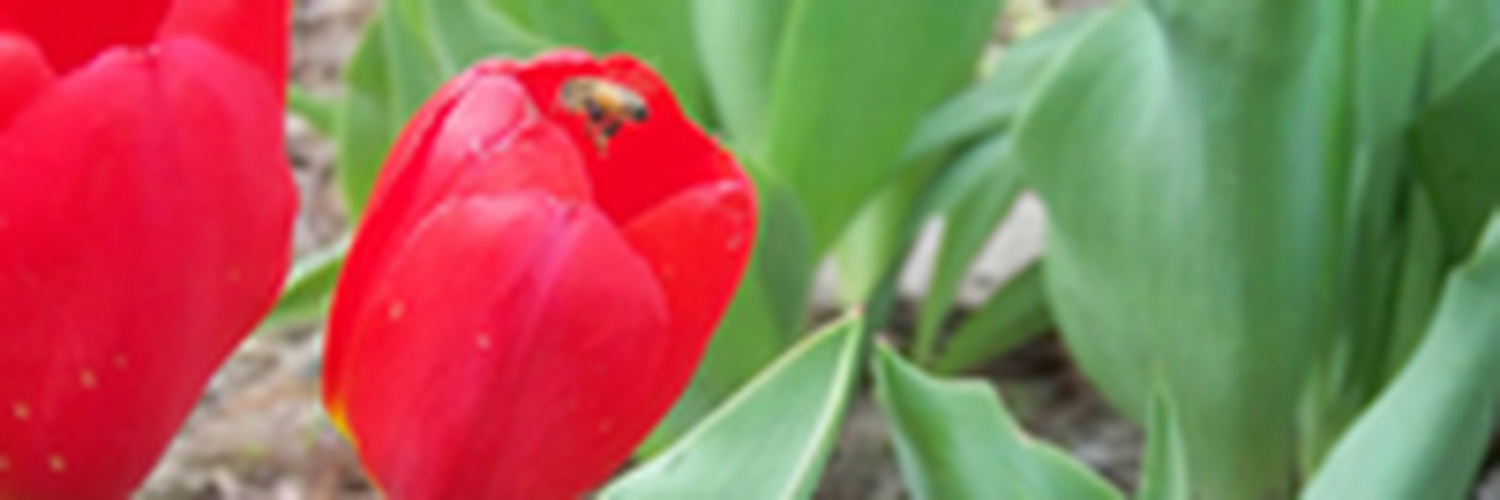 iamjustsomfd's profile banner image