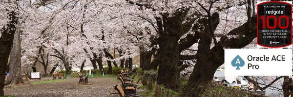 nori_shinoda Profile Banner