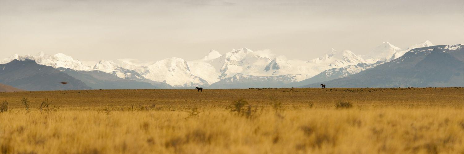chippaiy's profile banner image