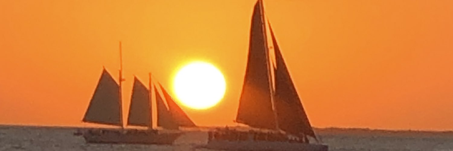 77RonWolfe's profile banner image