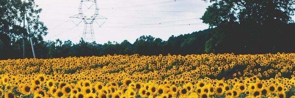 ciknikiysa's profile banner image