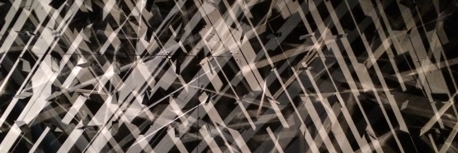 fsaavedraazcona's profile banner image