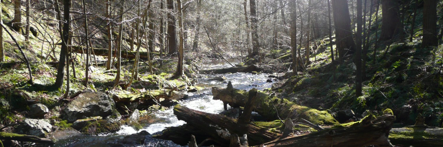 PA Department of Conservation & Natural Resources banner