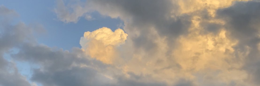 mimimiit's profile banner image