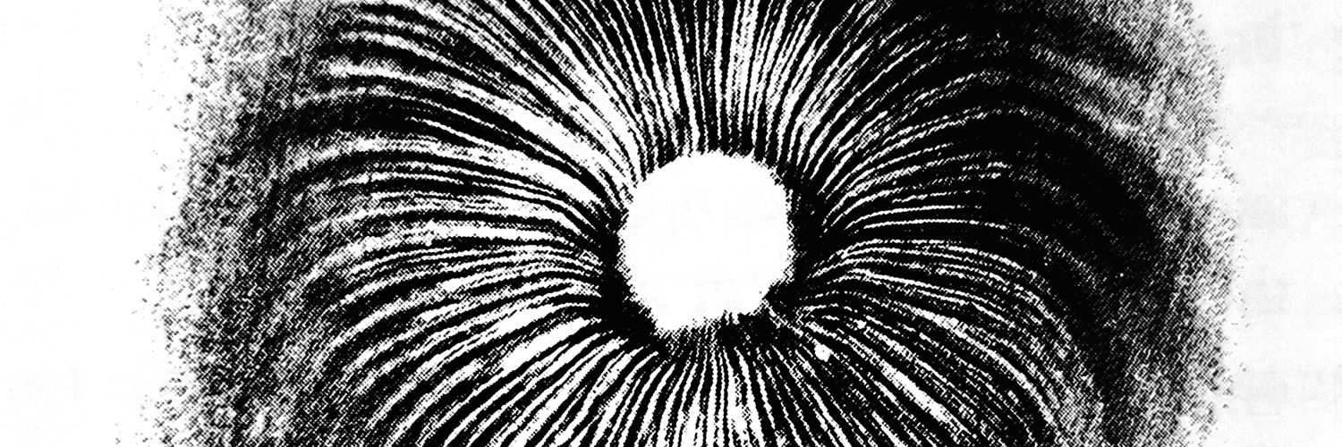 María José 🍄👁️✨ banner