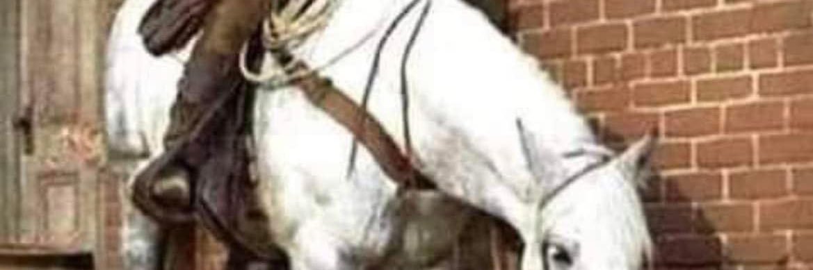 nutz5330's profile banner image