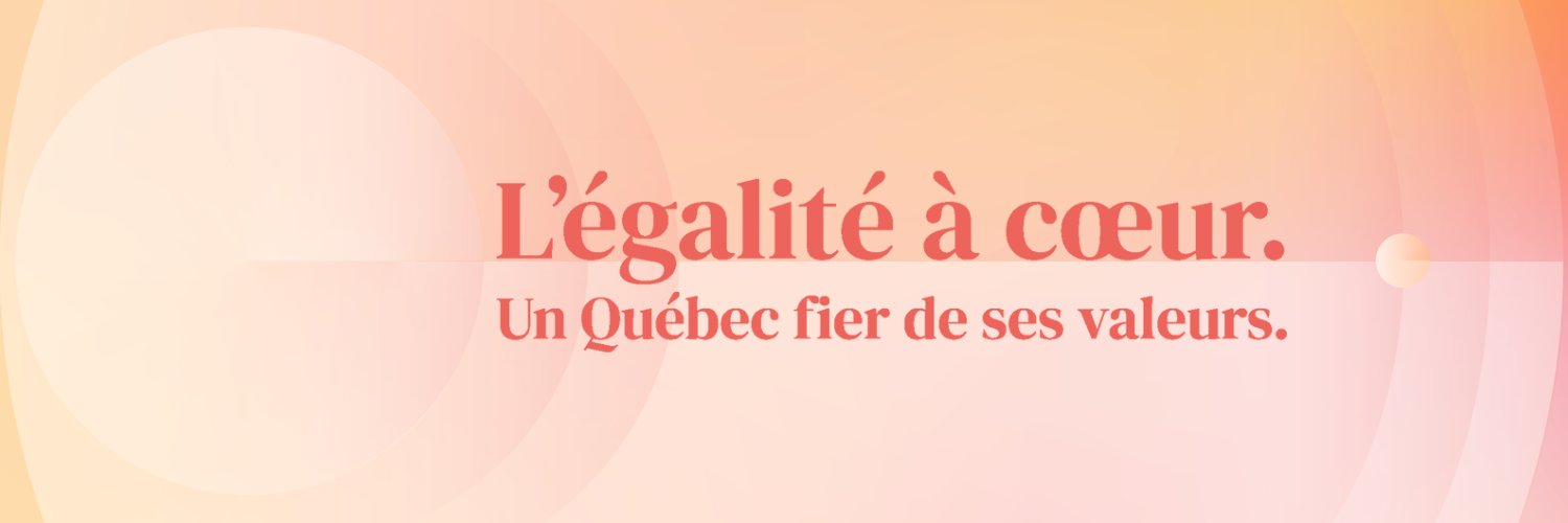 Conseil_statut_femme banner