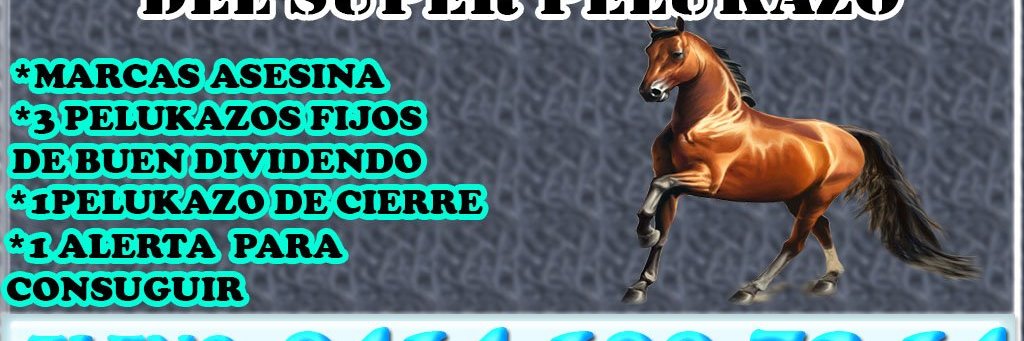 peluk00's profile banner image
