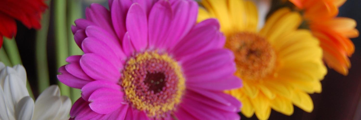 Little_Lady_23's profile banner image