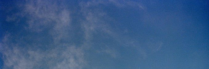 Mitch banner