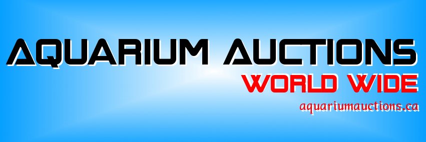 AquaCnd's profile banner image