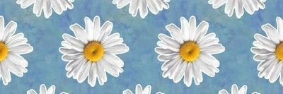 estrella_ilse's profile banner image