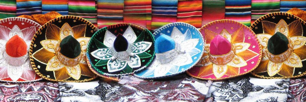 Visit Baja Mexico banner