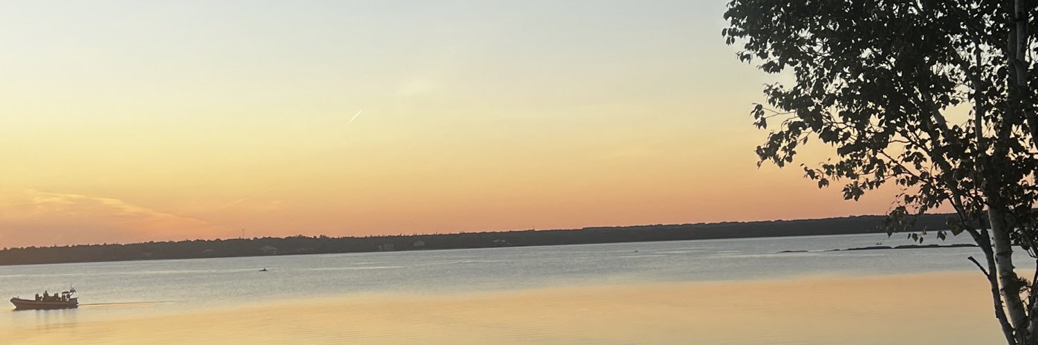 dmprocunier's profile banner image