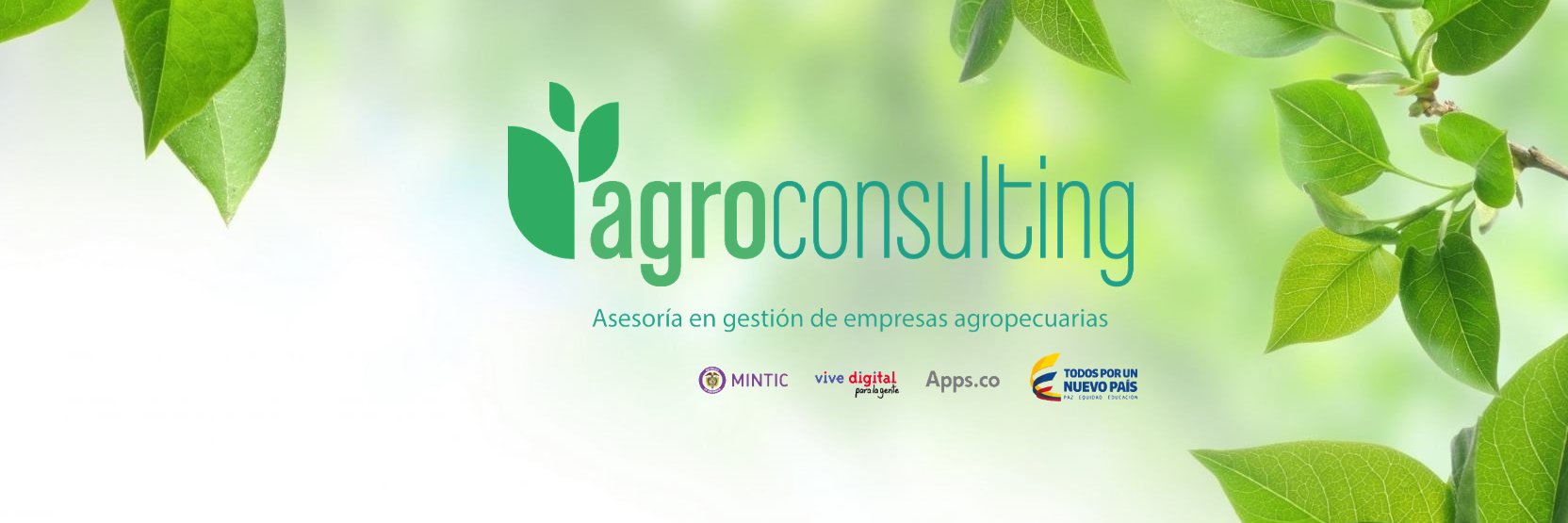 Agroconsulting banner