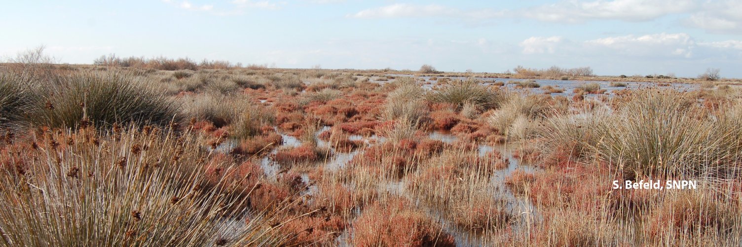 Zones-Humides-infos banner