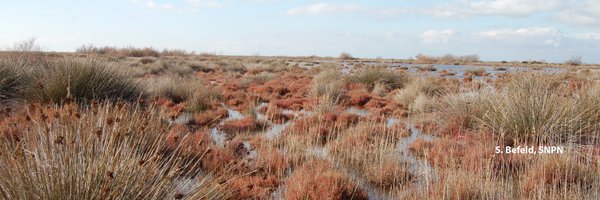 Zones_Humides Profile Banner