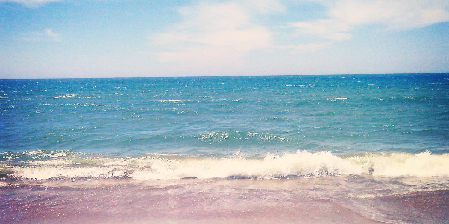 SnchezRosa's profile banner image