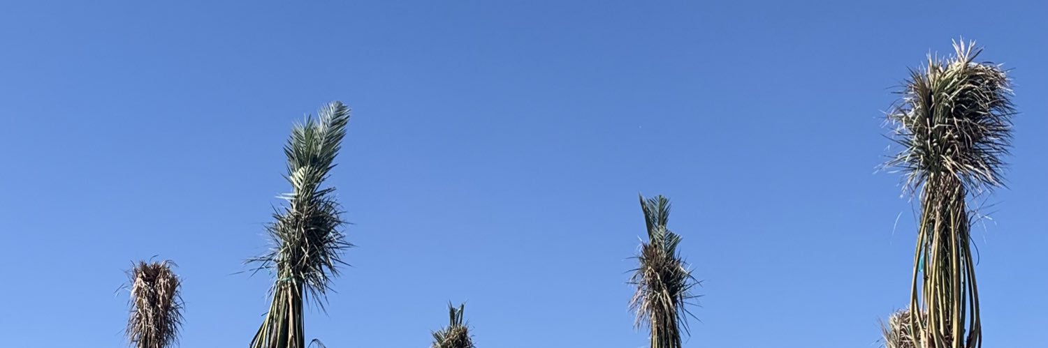 shafearaaa's profile banner image