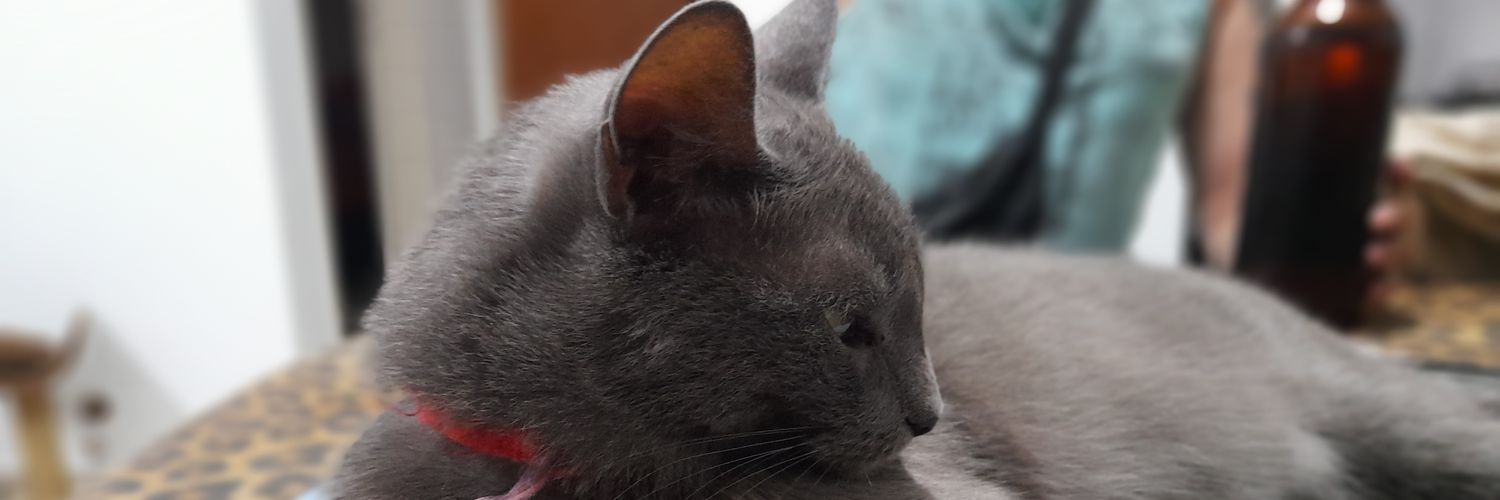 DJMATT03's profile banner image