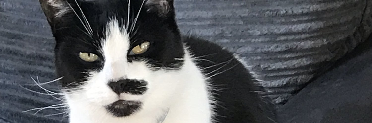 LewisPB_93's profile banner image