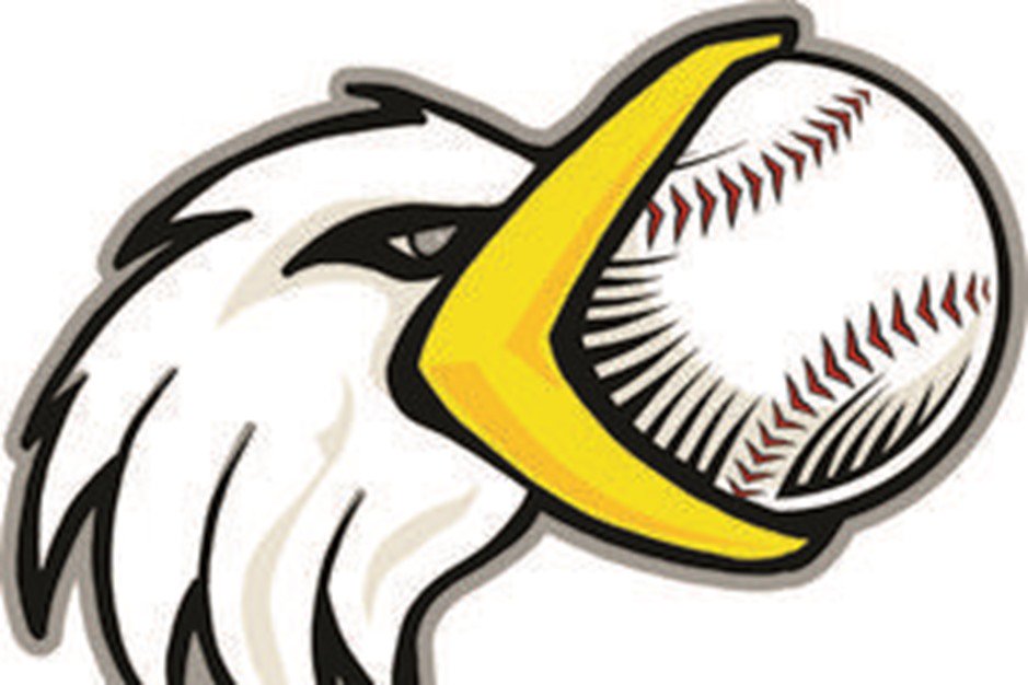 Gulls Baseball Club banner