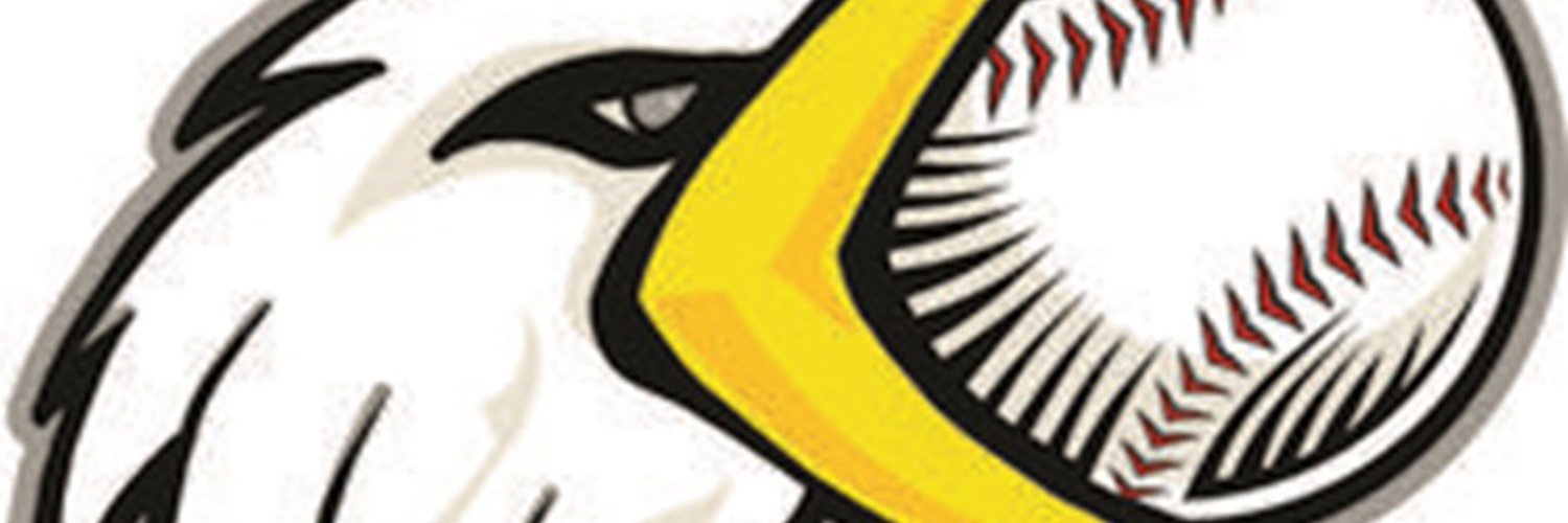 Gulls Baseball Club / Twitter