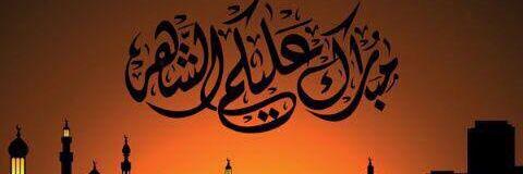 sa7i3amer3's profile banner image