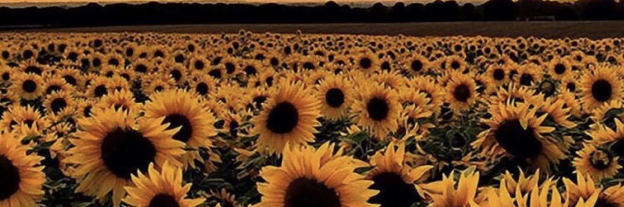 _QueenOFheartss's profile banner image