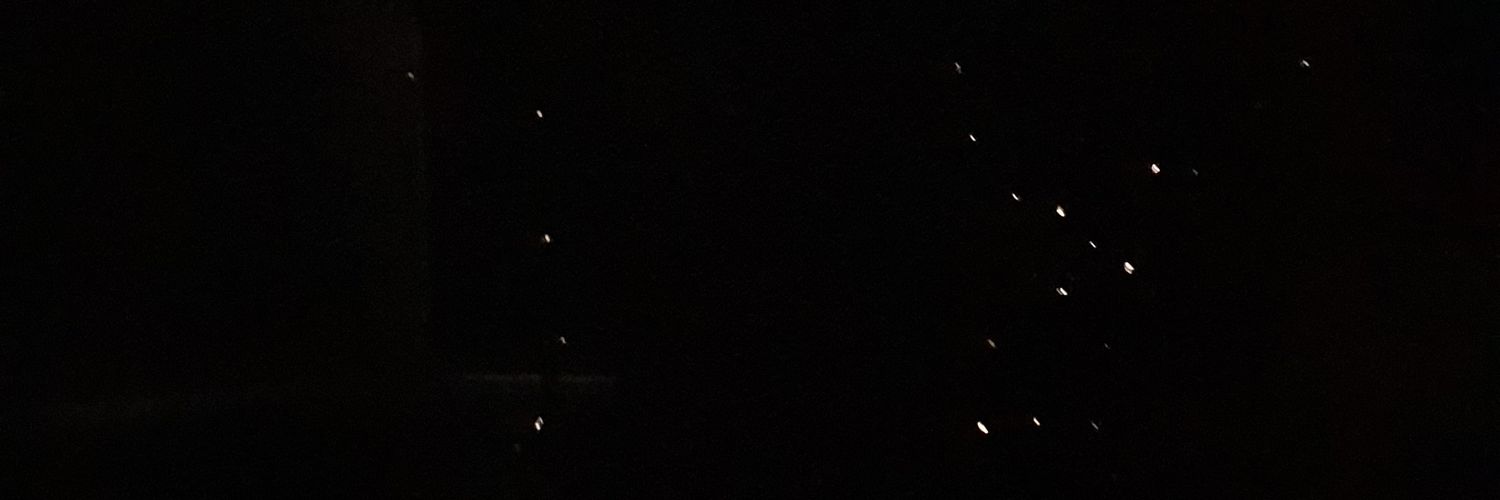 bianxallison's profile banner image