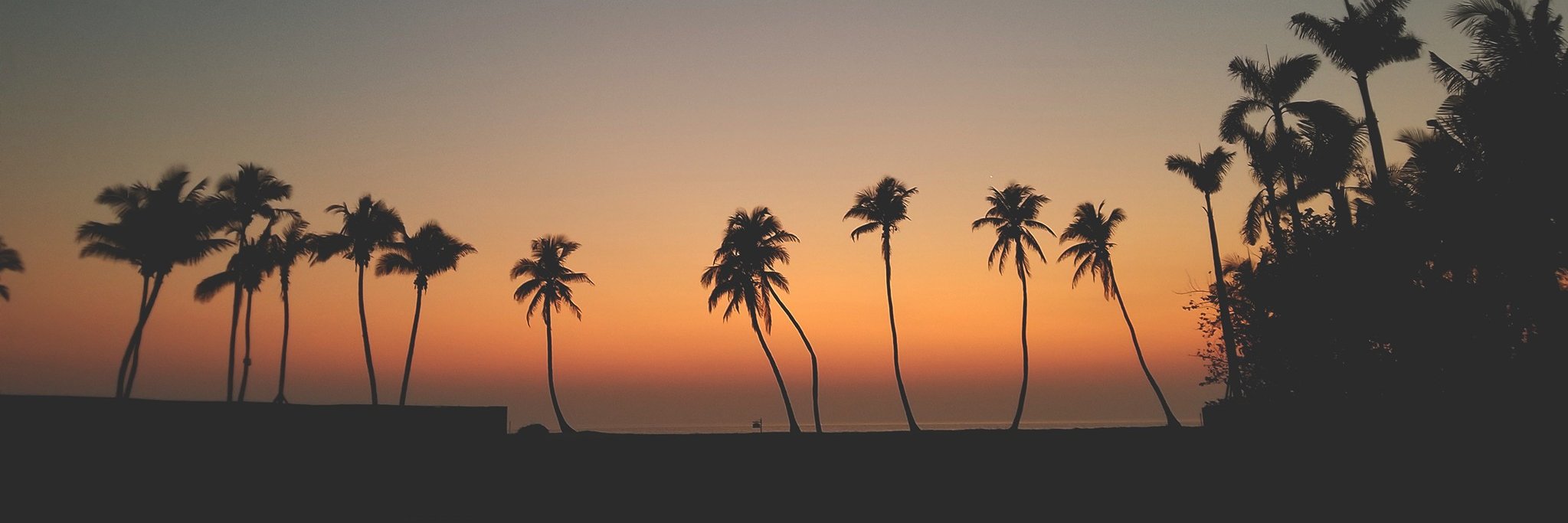 SeaStarNC's profile banner image