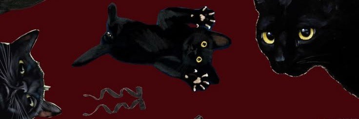 MsInsanity's profile banner image