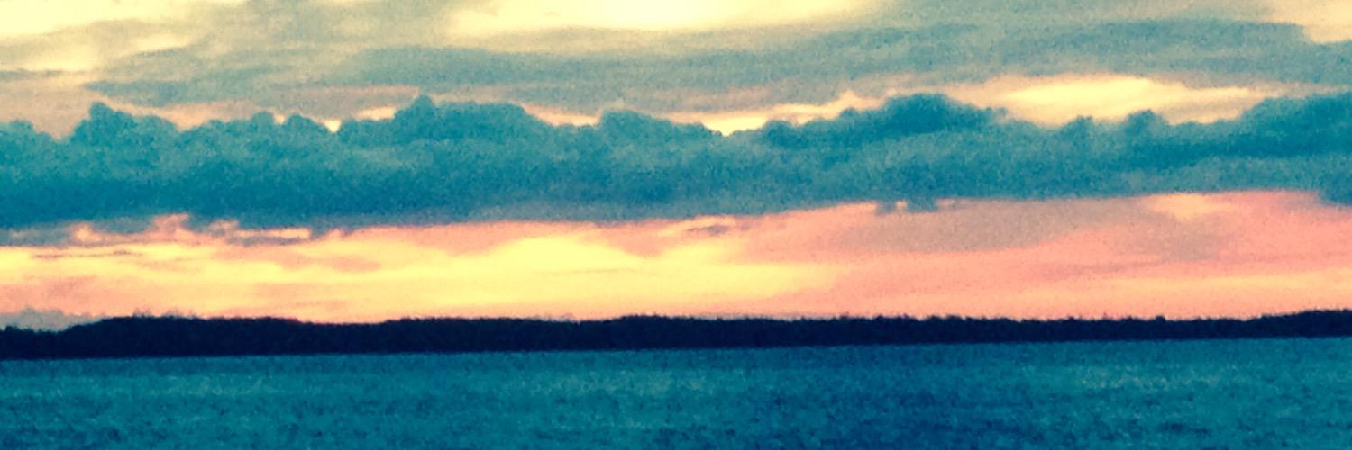 LockTeri's profile banner image