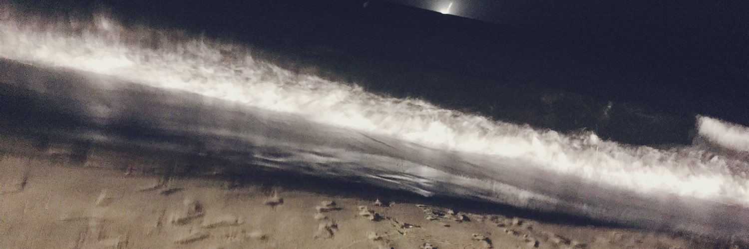 ryu_sei0601's profile banner image